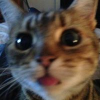 sleeps.through.problems