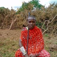 olengoko5