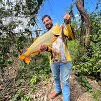 jpirondipescariaraiz