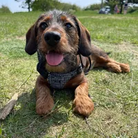 original sound - babybenji08