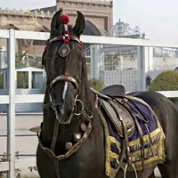 original sound - eazyarmalik07