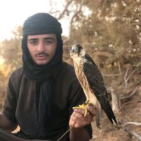 الصوت الأصلي