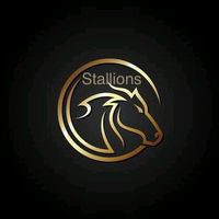 stallionsera