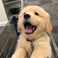 original sound - happy.time567