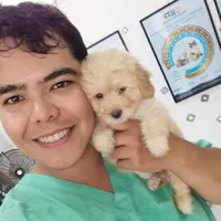 original sound - ivo_t.l