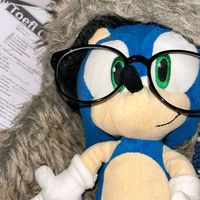 sonic2014