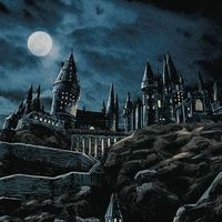 edist.harrypotterblack