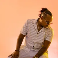 original sound - shebawu30