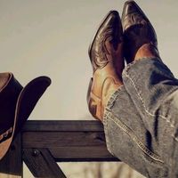 sertanejo.musica3