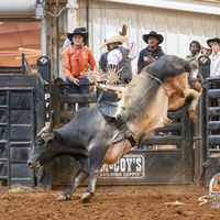 keezygriffinofficial