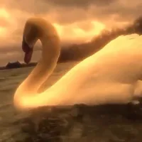 original sound - etiandracabral_