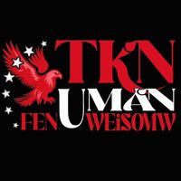 tknfinichi06