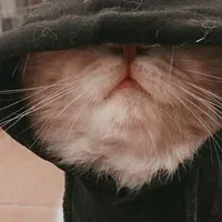 original sound - alegc103