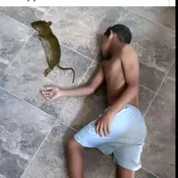 original sound - brayanbrayko