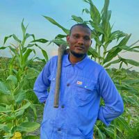 souleymanahmatali