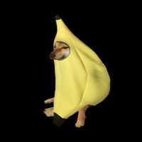 bananin292