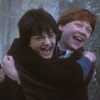 hogwartz.reactions