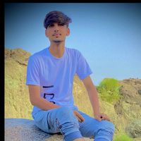 syedhasnainshah707