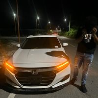 the_montii