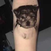 original sound - valek3171