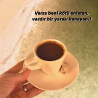 ozcicek896767