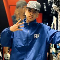 الصوت الأصلي