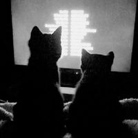 оригінальний звук