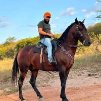 devalzinhovaqueiro02