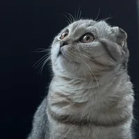 original sound - mirame_ua