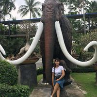 dalin_sorm