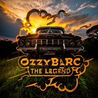 ozzyb_rc