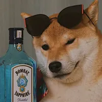 original sound - cobrix09