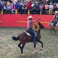 angel.espinoza189556705