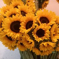 www.tiktok.flor.com