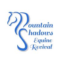 mountainshadowsequine