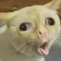 kitty_nyar