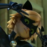 chat.noir_official1