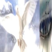 visualfitts