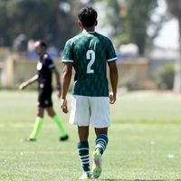 javiaraya08