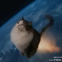 missgigglesalwayshigh