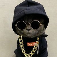blidogteam
