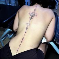 usergiribet3