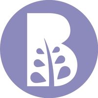 bioingenieriaestetica