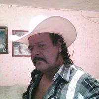 pavo3515