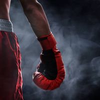 san.boxing