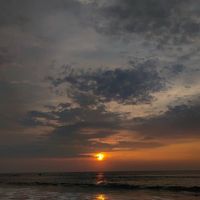 _arauz0