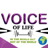 voice.of.life.tv