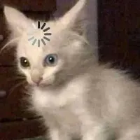 original sound - sabyrzhan_aiym