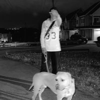 kxng_6o4