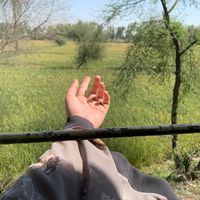 muqadas8870